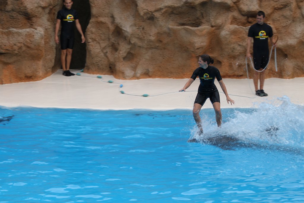 IMG_3716.JPG - Loro Parque  http://en.wikipedia.org/wiki/Loro_Parque  Dolphin show