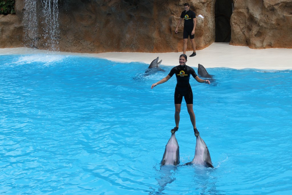 IMG_3781.JPG - Loro Parque  http://en.wikipedia.org/wiki/Loro_Parque  Dolphin show