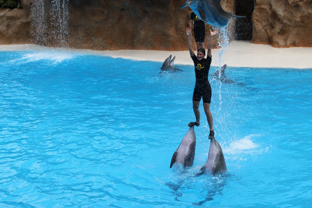 IMG_3783.JPG - Loro Parque  http://en.wikipedia.org/wiki/Loro_Parque  Dolphin show