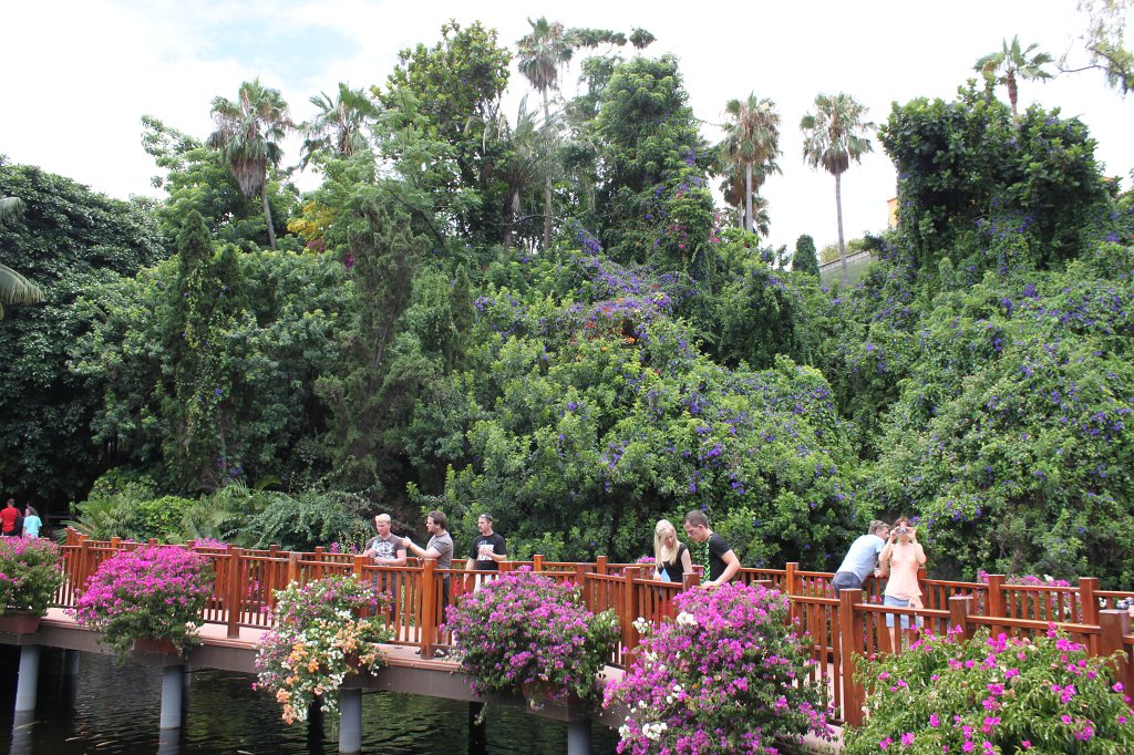 IMG_3870.JPG - Loro Parque  http://en.wikipedia.org/wiki/Loro_Parque  bridge
