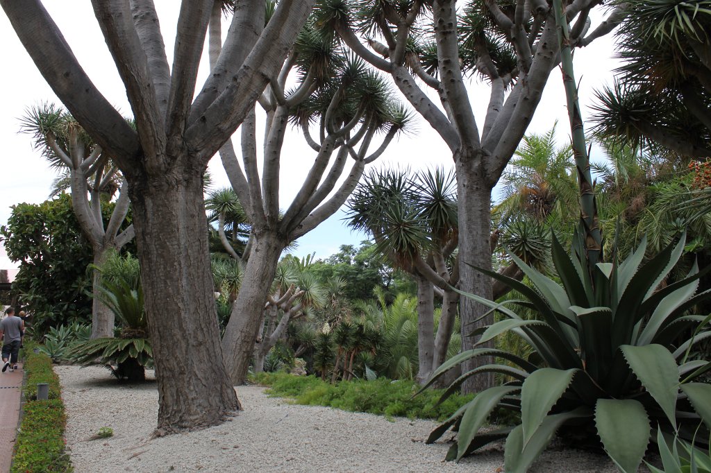 IMG_4123.JPG - Loro Parque  http://en.wikipedia.org/wiki/Loro_Parque 