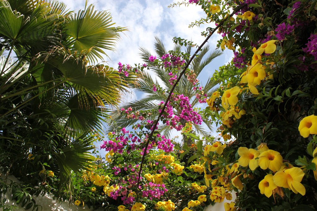 IMG_4348.JPG - Paradise