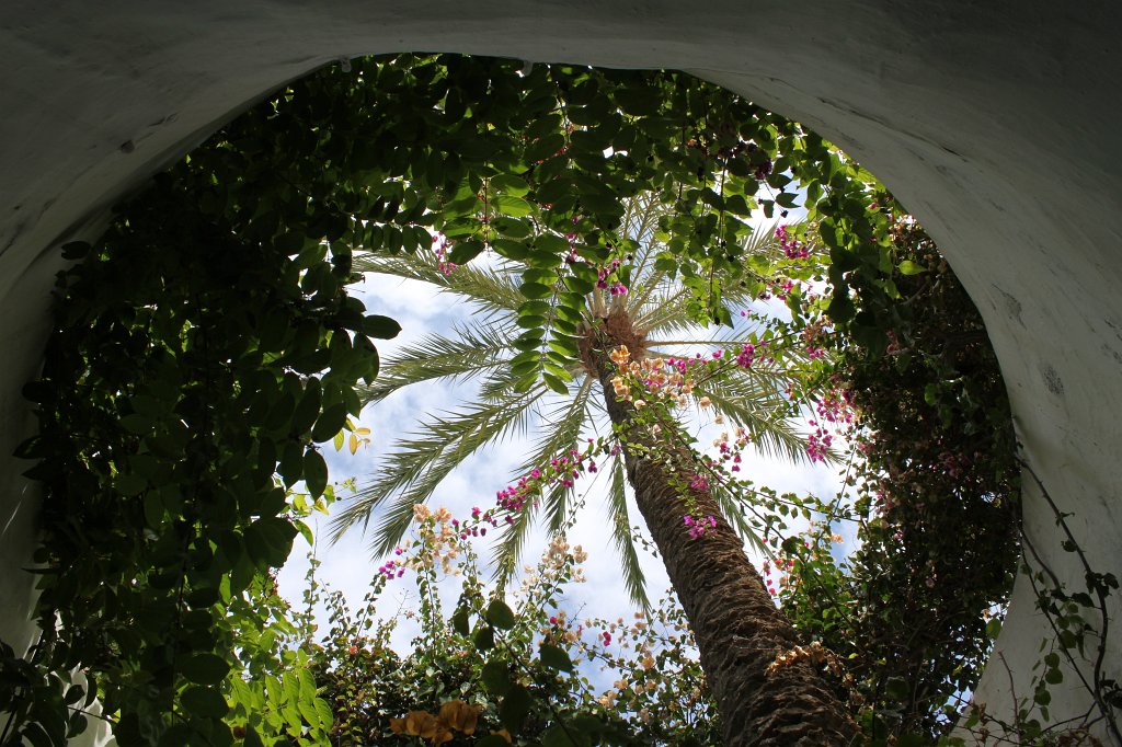 IMG_4349.JPG - Paradise