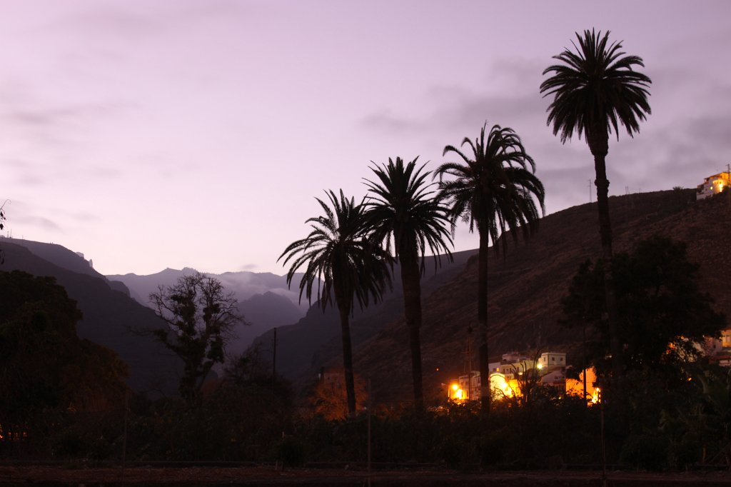 IMG_4841.JPG - La Gomera - Palms and mountains  http://en.wikipedia.org/wiki/La_Gomera 