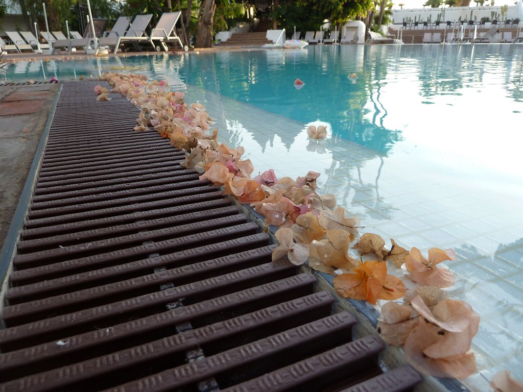 P1030867.JPG - Hotel Jardin Tropical  http://www.jardin-tropical.com/  pool