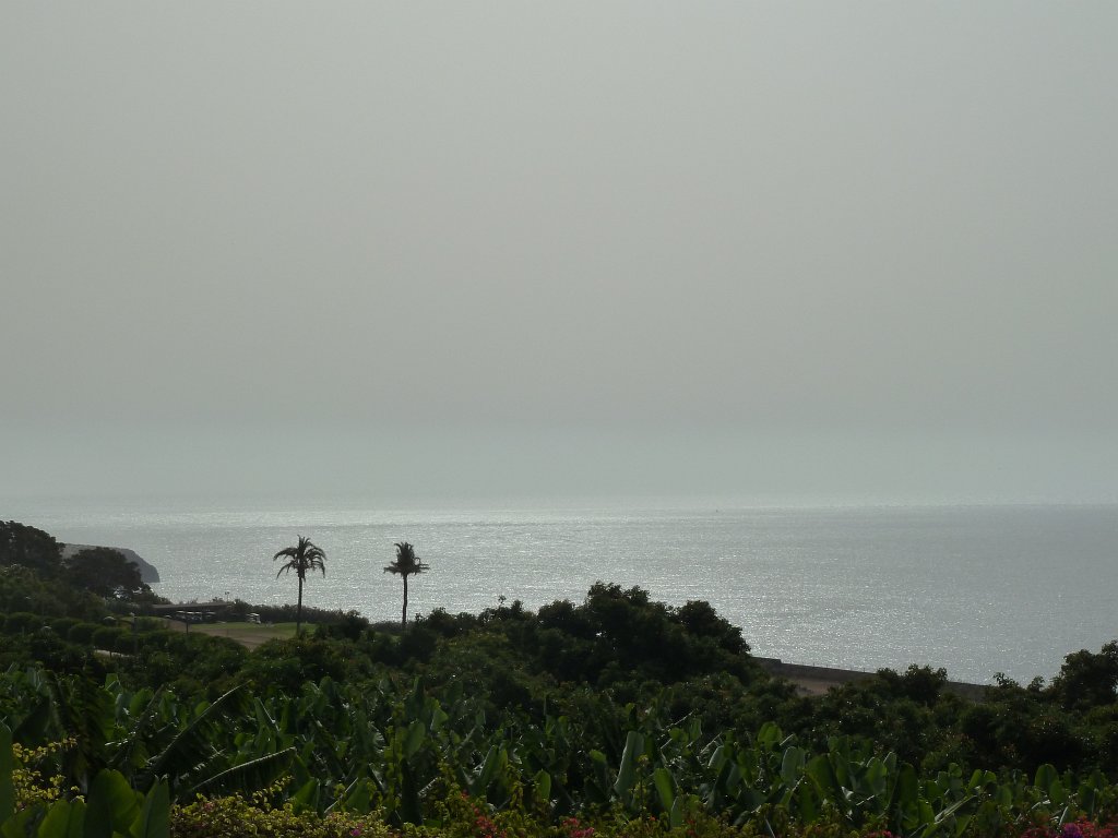 P1040382.JPG - Palms & sea