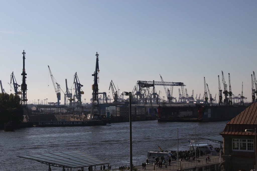 IMG_5612.JPG - Crane forest