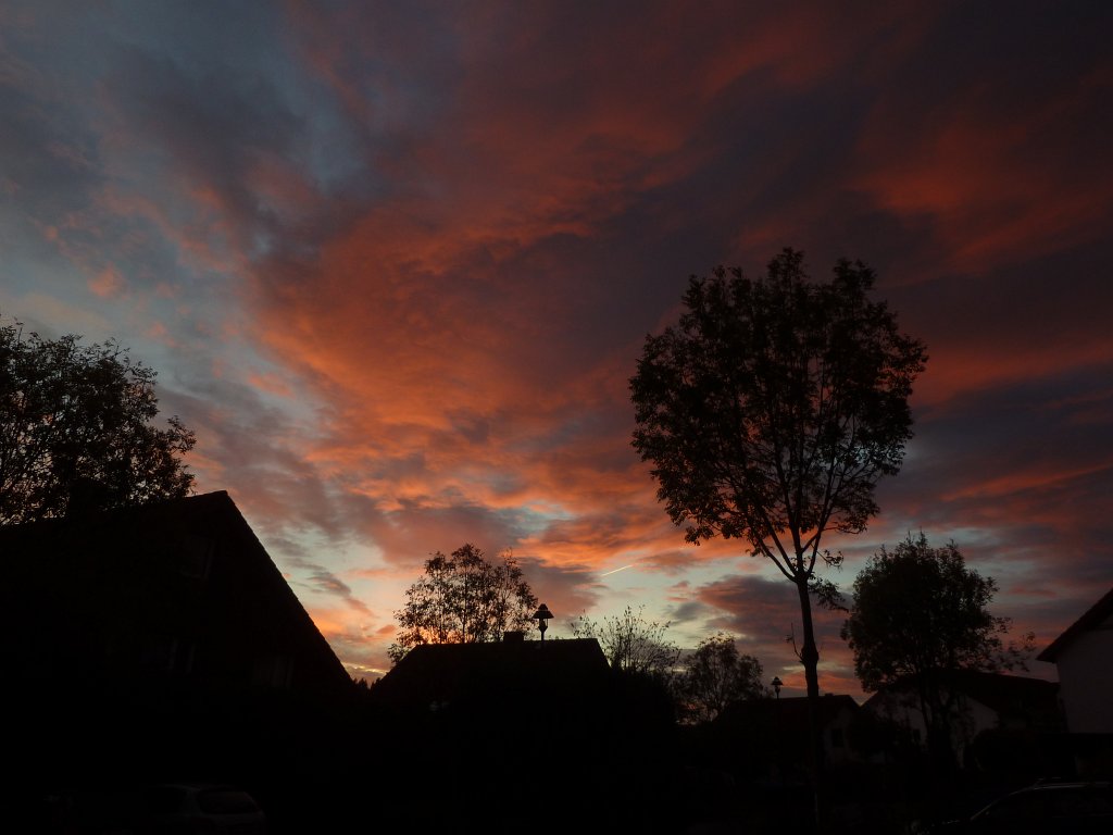 P1050538.JPG - Sunrise