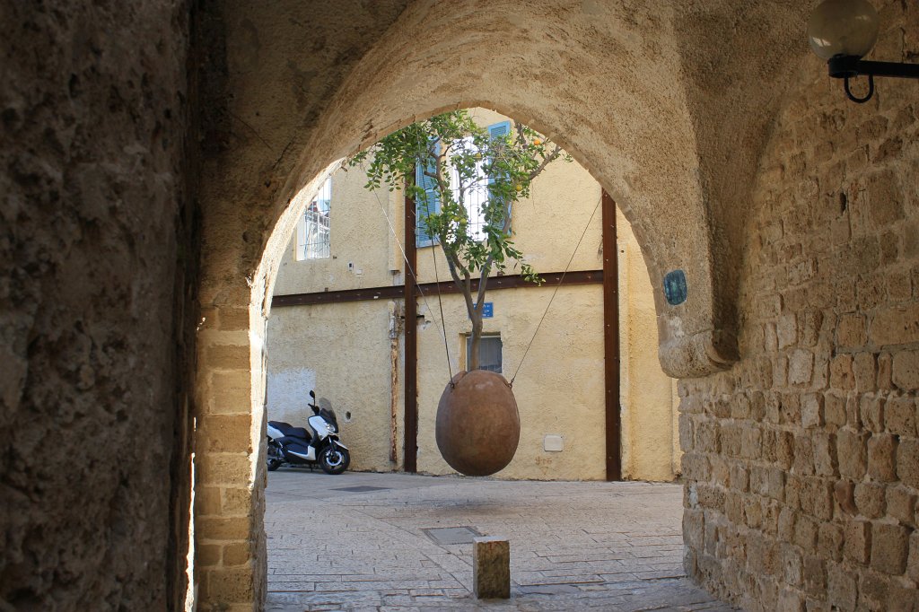 IMG_6229.JPG - Ran Morin  http://en.wikipedia.org/wiki/Ran_Morin  - Oranger Suspendu