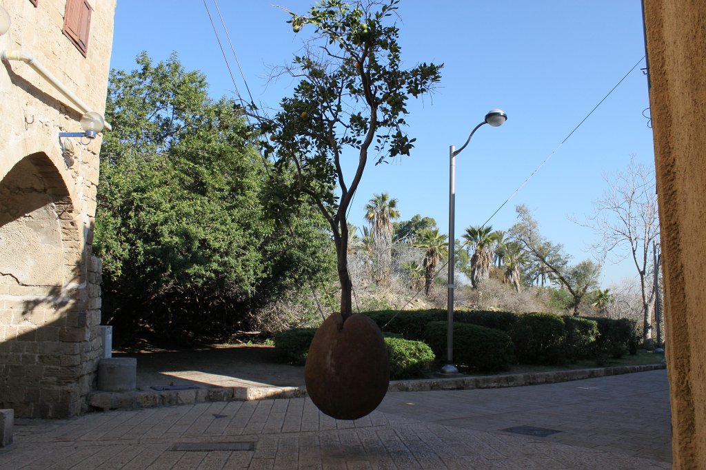 IMG_6230.JPG - Ran Morin  http://en.wikipedia.org/wiki/Ran_Morin  - Oranger Suspendu