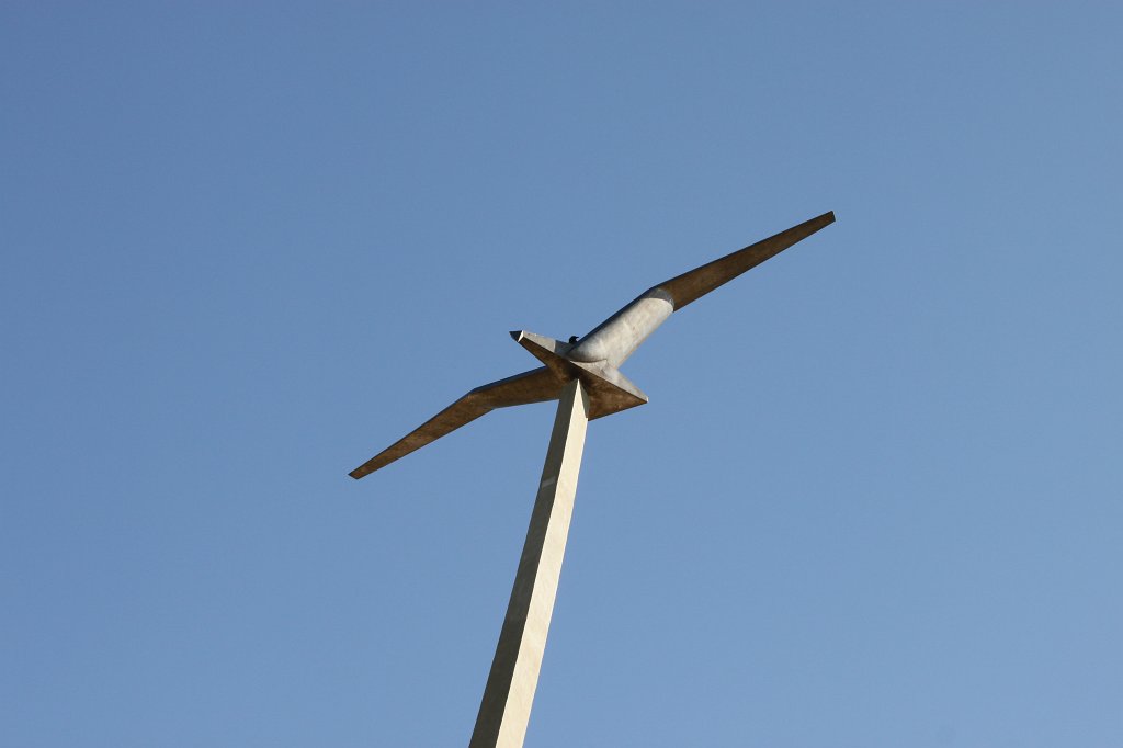 IMG_6393.JPG - Birds