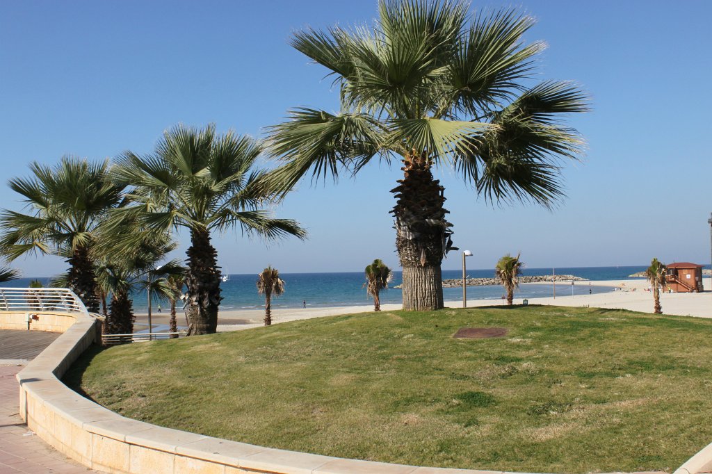 IMG_6465.JPG - Herzliya Marina  http://en.wikipedia.org/wiki/Herzliya_Pituah 