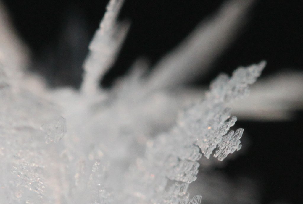 IMG_6735.JPG - Ice patterns