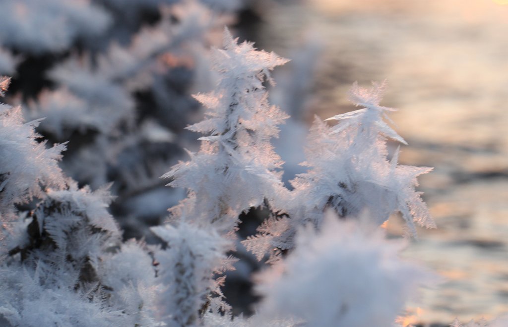 IMG_6737.JPG - Ice patterns