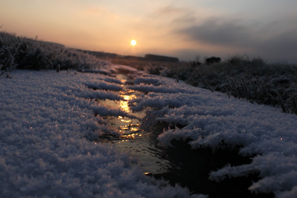 IMG_6750.JPG - Winter morning