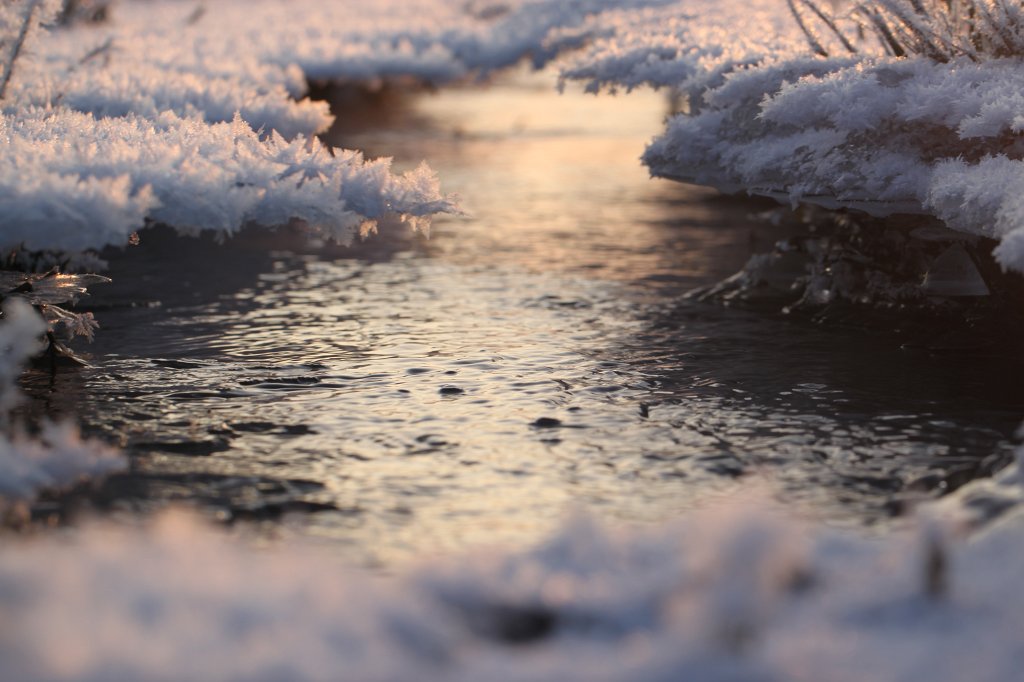 IMG_6772.JPG - Stream