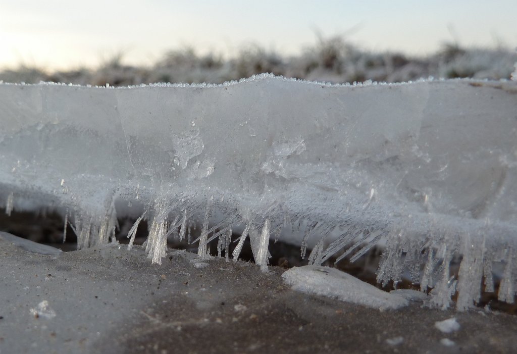 P1050978.JPG - sheet of ice