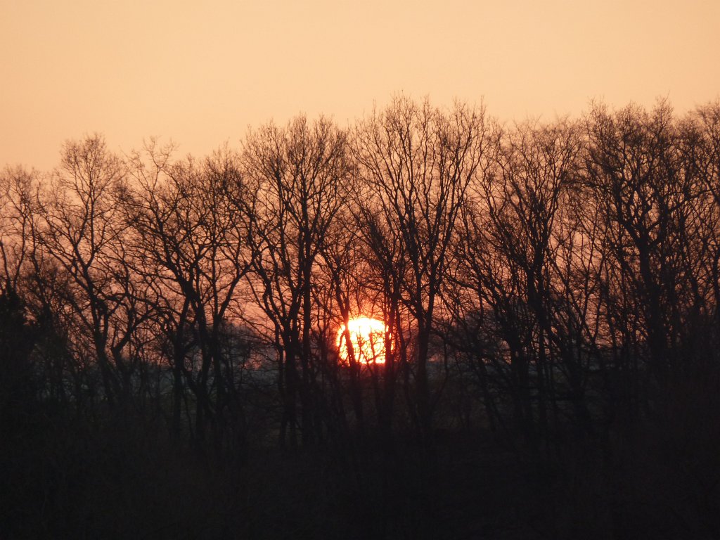 P1050995.JPG - Sunrise