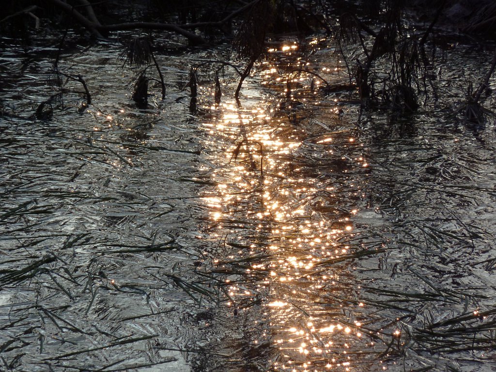 P1060014.JPG - Frozen pond