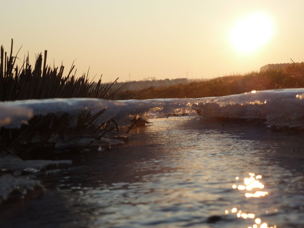 P1060042.JPG - Stream & Ice in the early morning