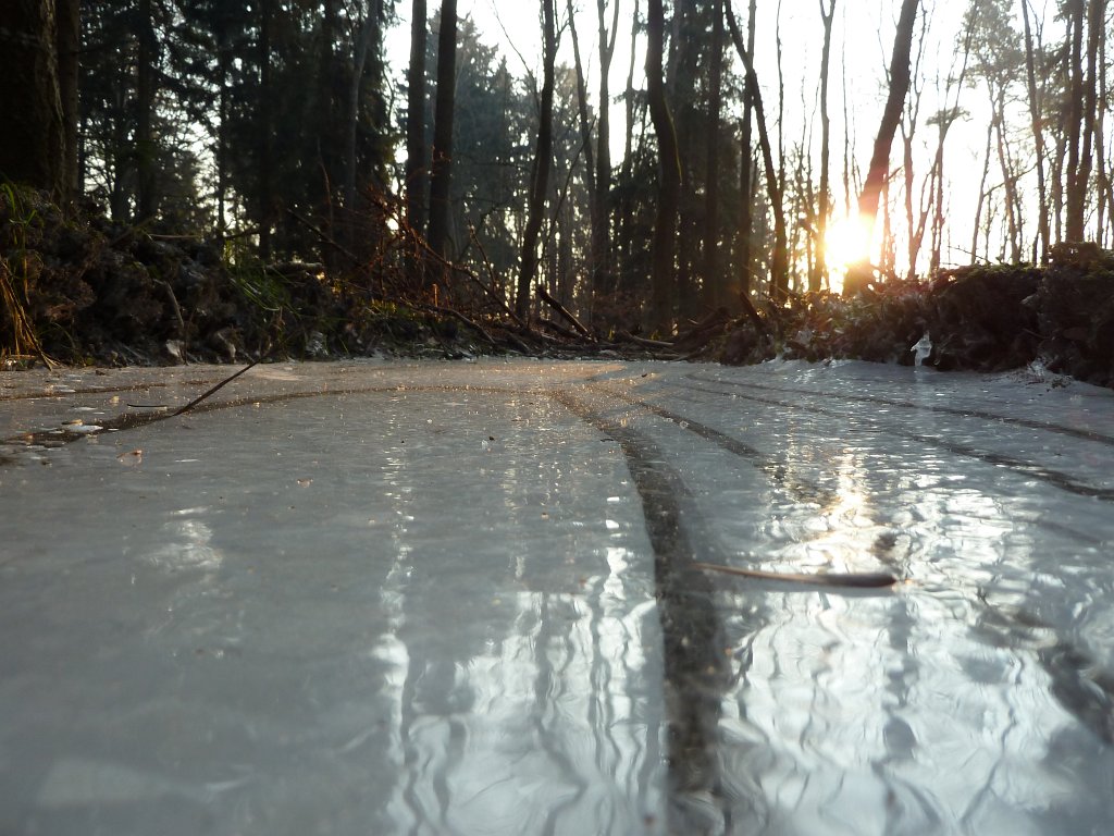 P1060048.JPG - Frozen puddle