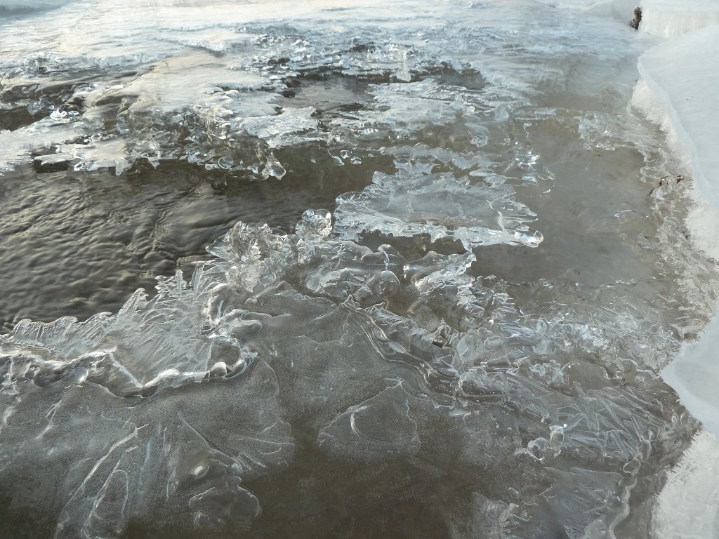 P1060075.JPG - Ice on stream