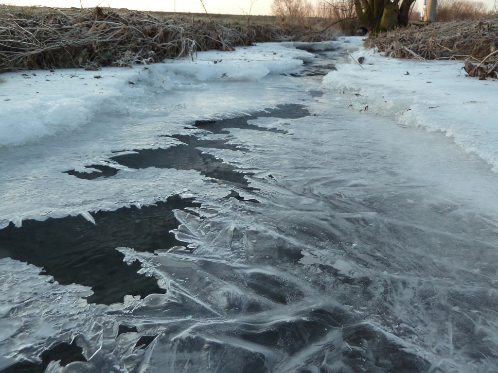P1060077.JPG - Growing ice