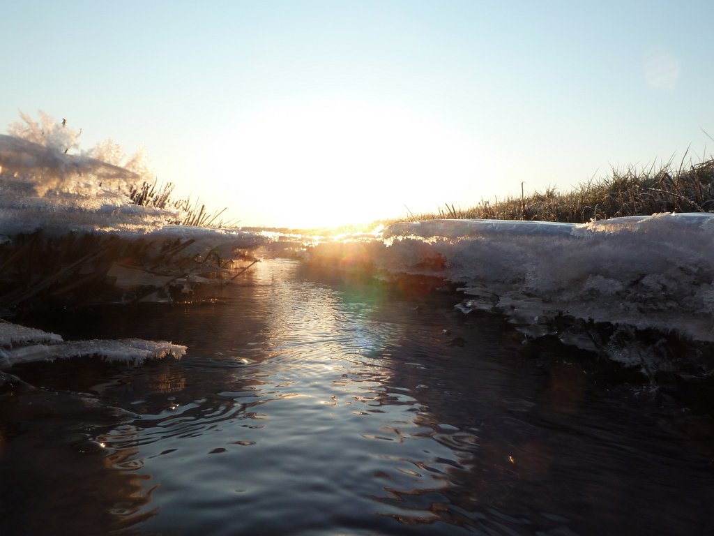 P1060081.JPG - Stream & Ice in the early morning
