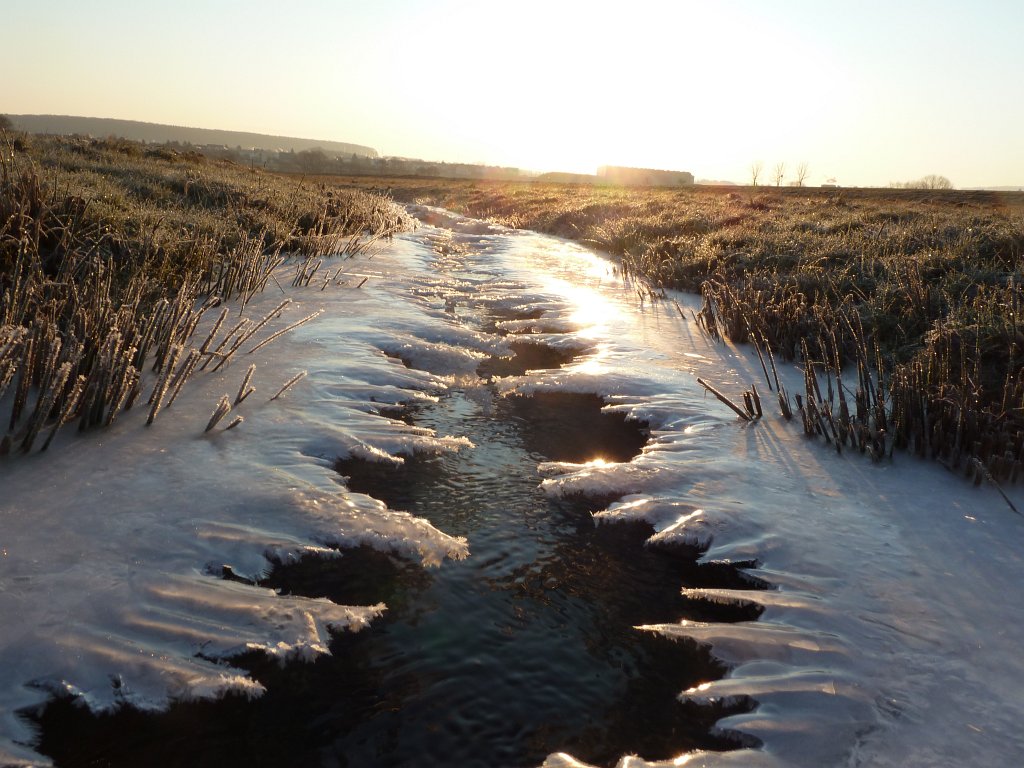 P1060090.JPG - Stream & Ice in the early morning