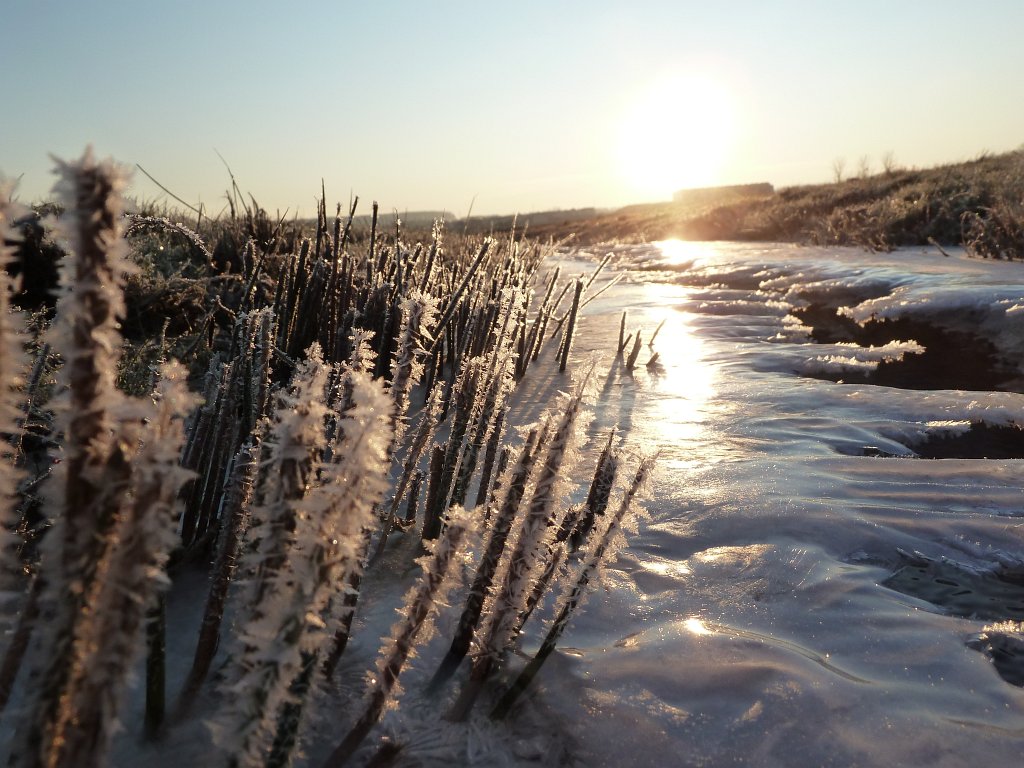P1060093.JPG - Ice trying to bridge a stream