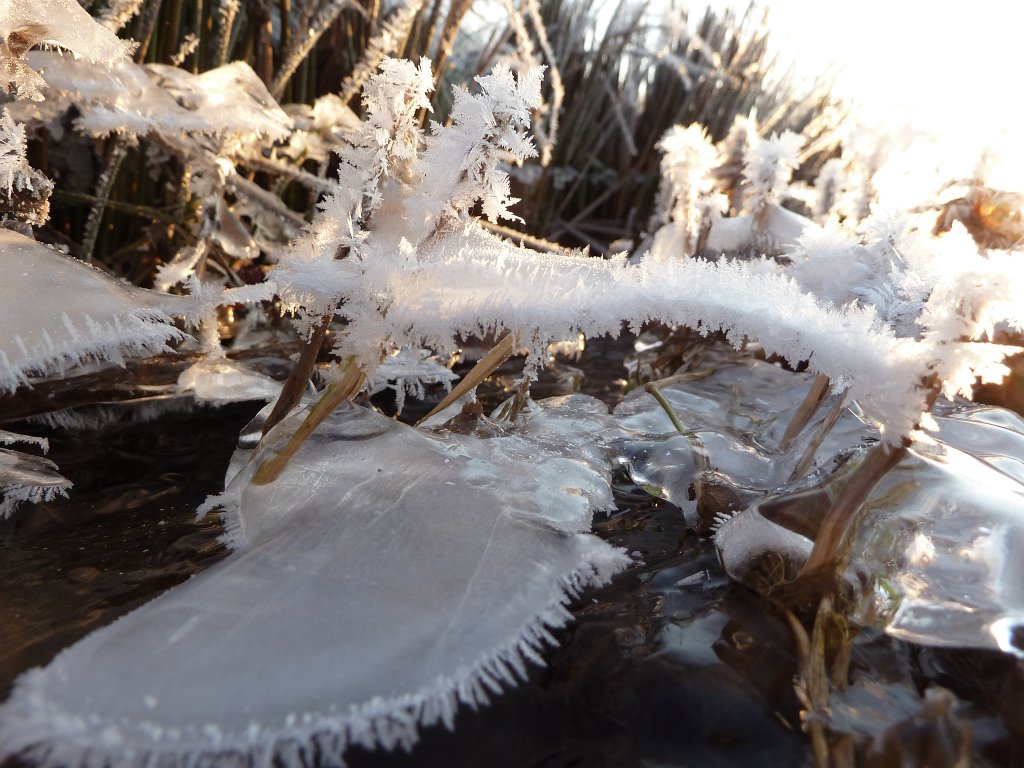 P1060099.JPG - Ice sculptures on the stream banks