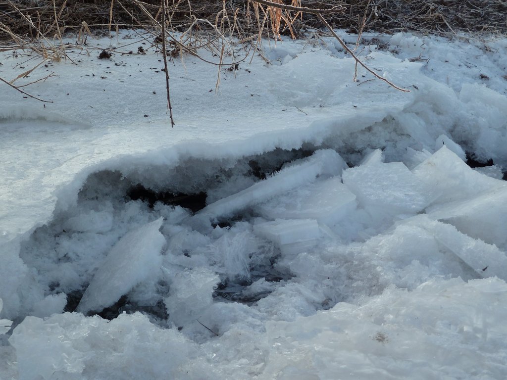 P1060134.JPG - Crushed Ice