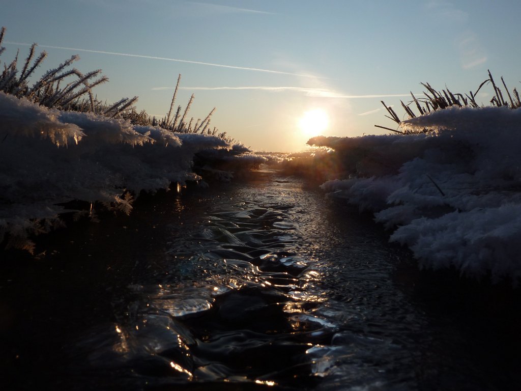 P1060144.JPG - Stream & Ice in the early morning