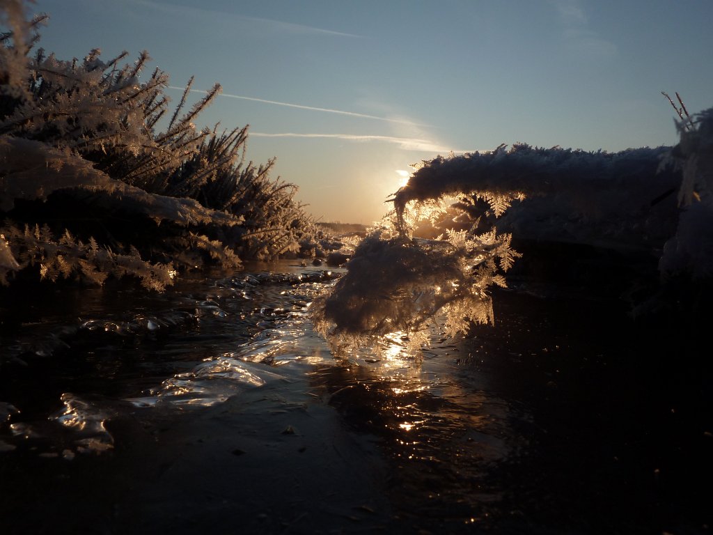 P1060145.JPG - Stream & Ice in the early morning