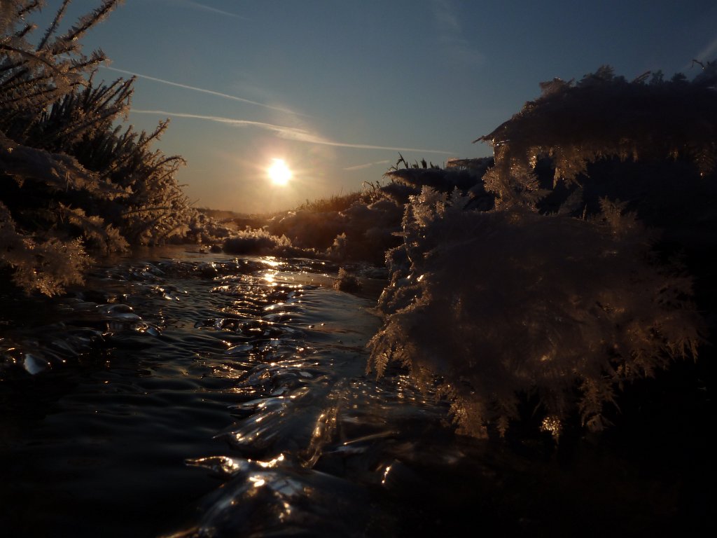 P1060147.JPG - Stream & Ice in the early morning