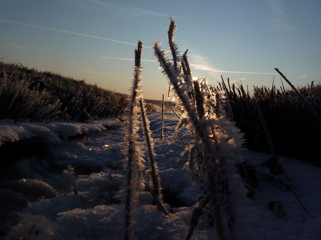 P1060149.JPG - Frosted spires