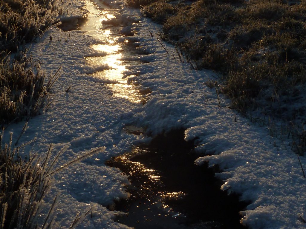 P1060154.JPG - Sun flooded ice