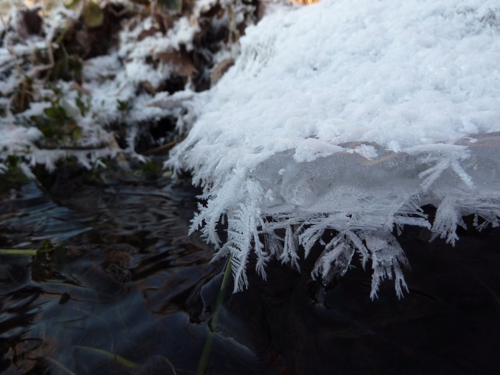 P1060196.JPG - Ice patterns