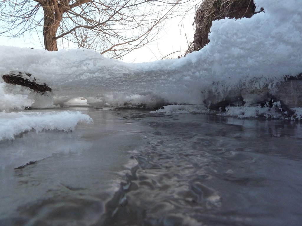 P1060204.JPG - Ice roof