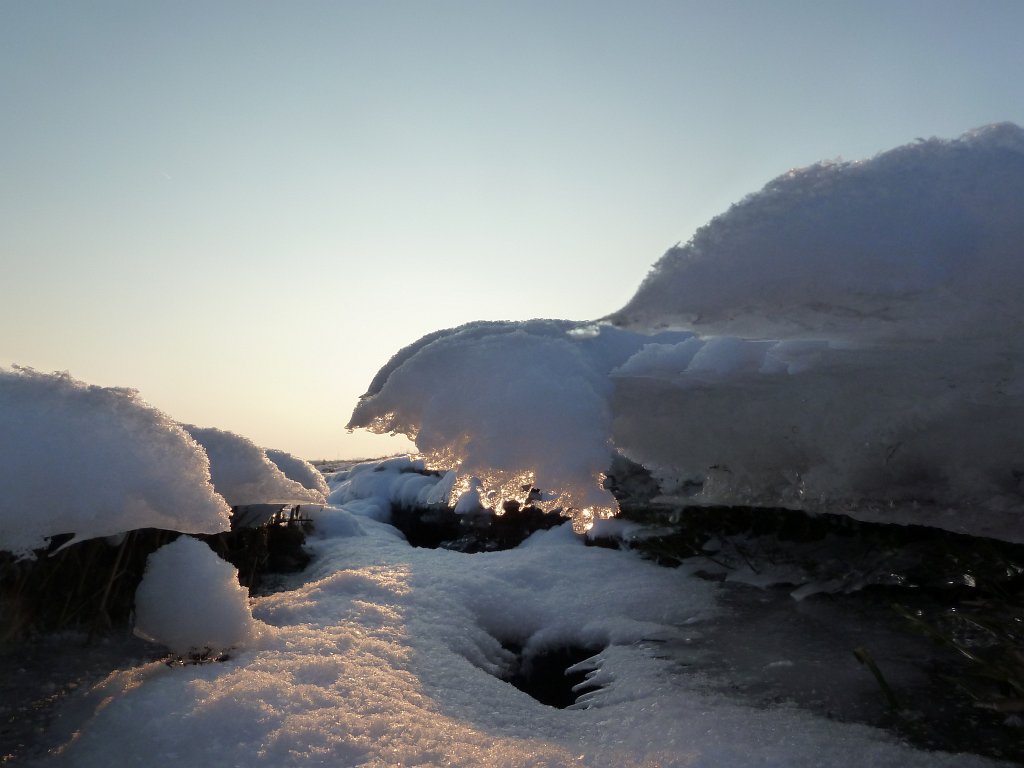 P1060272.JPG - Ice sculpture