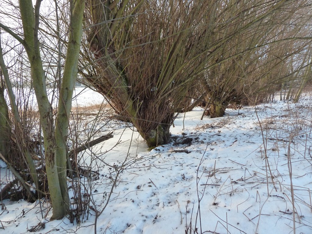 P1060318.JPG - Frozen stream