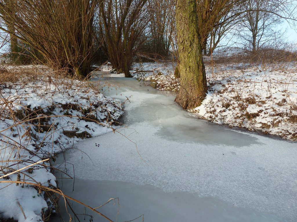 P1060327.JPG - Frozen stream