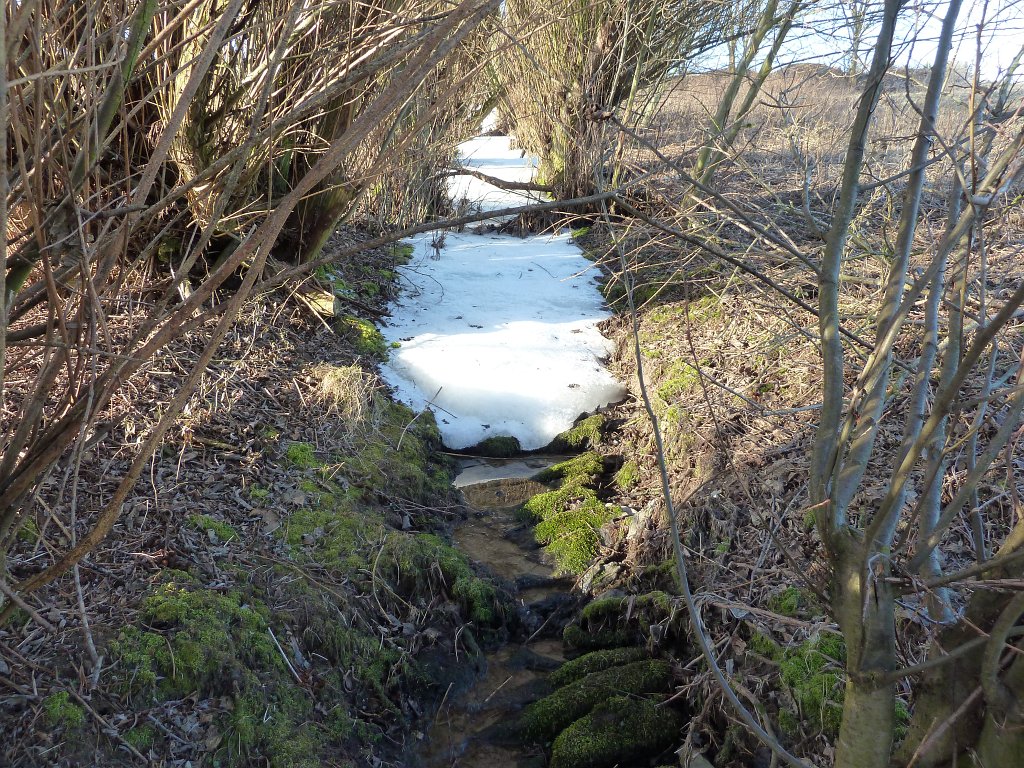 P1060394.JPG - Glacier