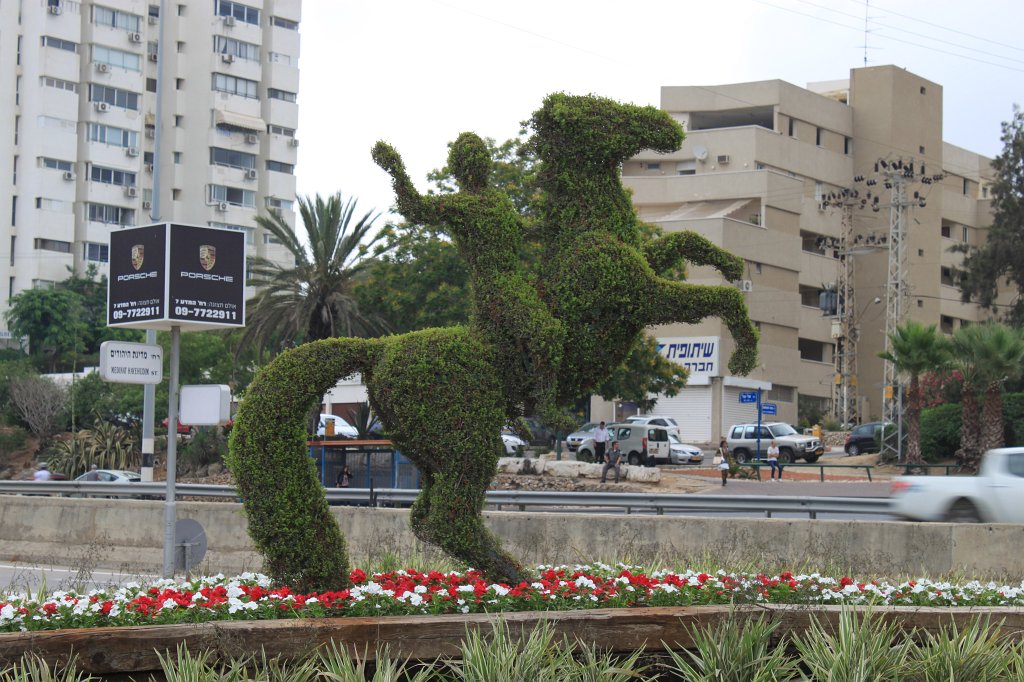 IMG_8759.JPG - Green horseman