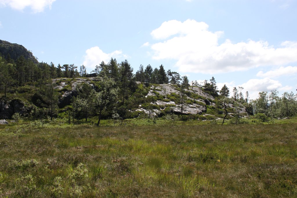 IMG_0637.JPG - Moor at Krogebekkmyrane