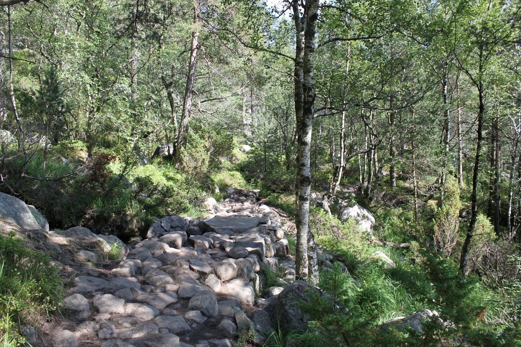 IMG_0689.JPG - Path to Preikestolen
