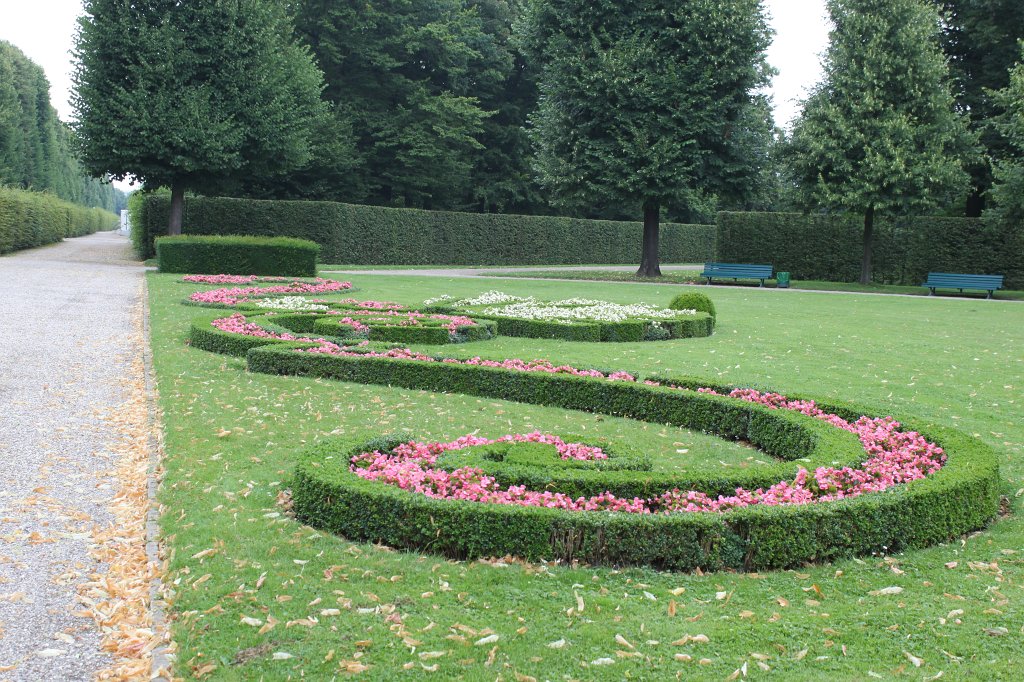 IMG_0814.JPG - Flower pattern