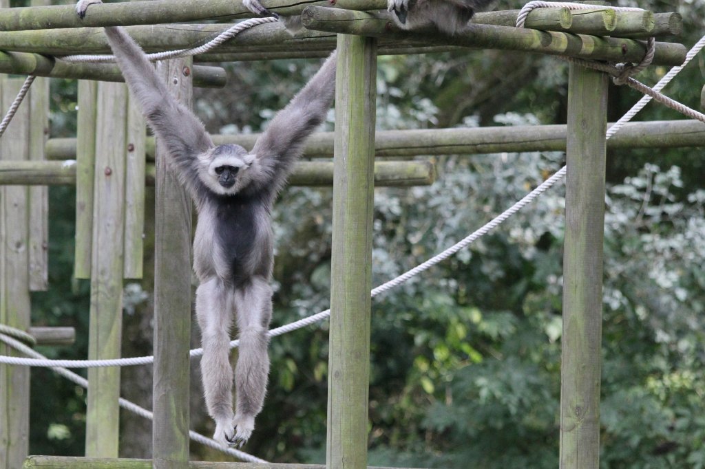 IMG_1341.JPG - Hanging around