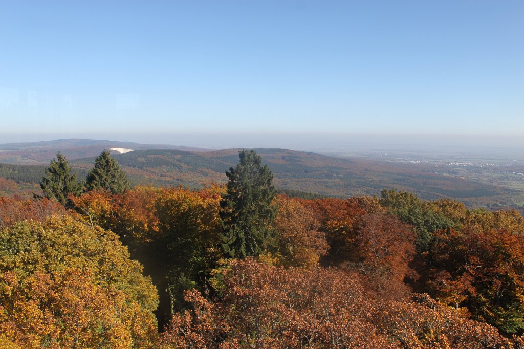 IMG_1547.JPG - Beatiful coloured Taunus  http://en.wikipedia.org/wiki/Taunus 