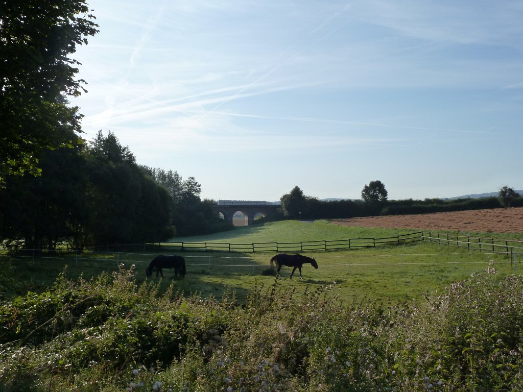 P1080847.JPG - Countryside